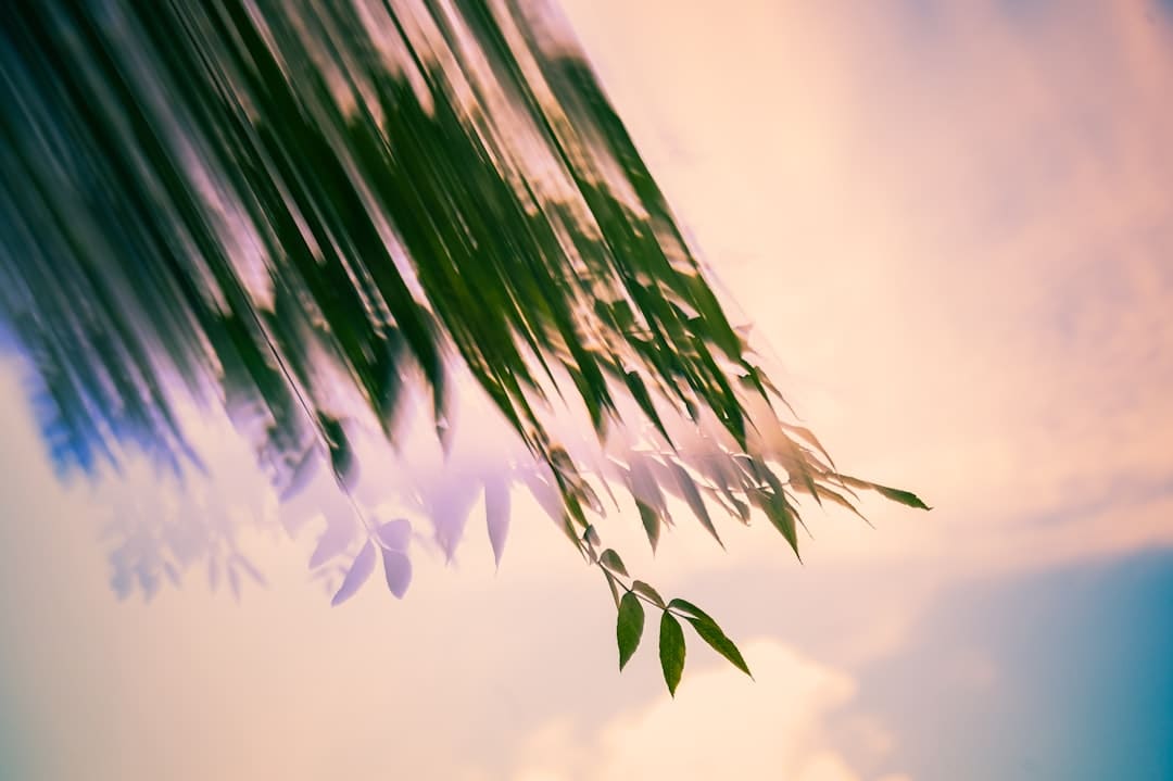 谁撑起暑期档100亿票房？